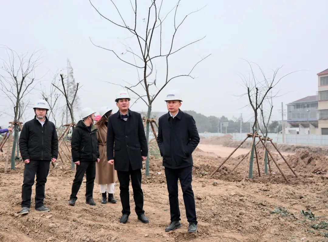 張?jiān)骑w率隊(duì)調(diào)研白云園林公司 聚焦在建項(xiàng)目與樹木種植經(jīng)營(yíng)，推動(dòng)綠色發(fā)展新篇章